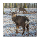 Search for deer tiles Woods