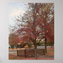 Search for nature walk posters Outdoors