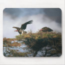 Search for vultures mousepads Birds