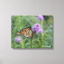 Search for monarch canvas prints Butterfly