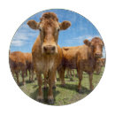 Search for cattle chopping boards Grass