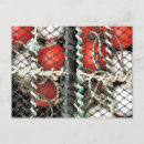 Search for sea fish postcards Modern