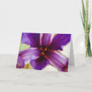 Search for impressions cards Impressionist