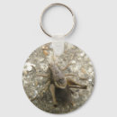 Search for invertebrate key rings Nature