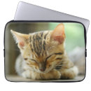Search for zip up electronics Cat