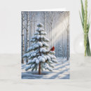 Search for cardinal bird christmas cards Snow