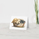 Search for kittens note cards Cute