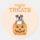Search for trick or treat stickers Orange