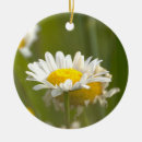Search for daisy christmas tree decorations Nature