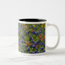 Search for blue bonnets mugs Texas