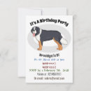 Search for bernese invitations Bernese mountain dog