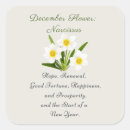 Search for december stickers Narcissus