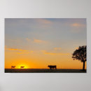 Search for cattles art Sunset