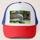 Search for red bird hats Chicken