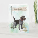 Search for wirehaired cards Wirehaired pointing griffon