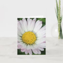 Search for daisies note cards Pretty