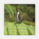 Search for dimensional magnets Photography