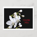 Search for environment cards Nature