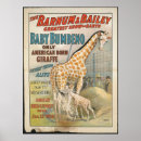 Search for old circus posters Barnum
