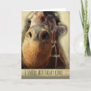 Search for funny nose cards Animal