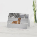 Search for snowstorm cards Dog