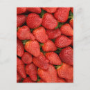 Search for 5x7 postcards Photography