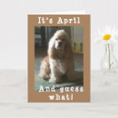 Search for cocker spaniel birthday cards Friend