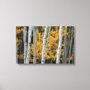 Search for trunk canvas prints Leaves