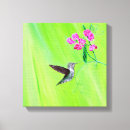 Search for hummingbird painting canvas prints Green