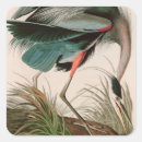 Search for great blue heron stickers Nature