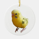 Search for budgie christmas tree decorations Pet