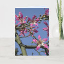 Search for silk cards Flowers