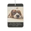 Search for motivational quotes car air fresheners Modern