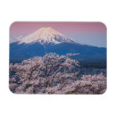 Search for cherry blossom magnets Lake kawaguchi