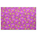 Search for wild rose Flower