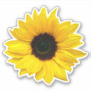 Search for big sunflower stickers Birthday
