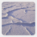 Search for death valley stickers Badwater
