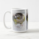 Search for conure parrot mugs Green cheeked conure