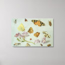 Search for kessel canvas prints Butterfly