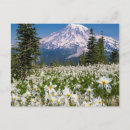 Search for avalanche postcards Superstock