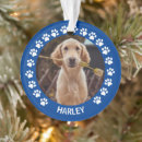 Search for dog frame christmas tree decorations Modern