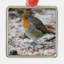 Search for robin christmas tree decorations Festive