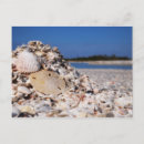 Search for dollar postcards Florida