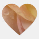 Search for pale pink rose stickers Peach