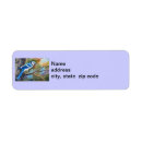 Search for blue jay labels Wildlife