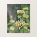 Search for yellow flower puzzles Flowers