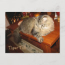 Search for cat tail postcards Cats