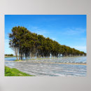 Search for rowing posters Peaceful
