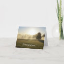 Search for fog cards Sunrise