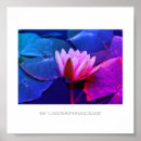 Search for flowering plants posters Flowers